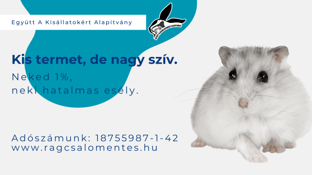 Együtt a Kisállatokért Alapítvány
