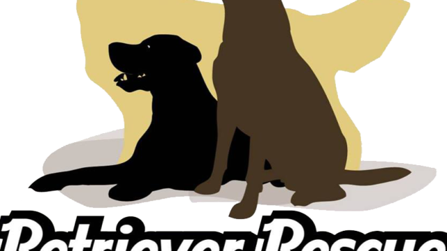 Retriever Rescue Fajtamentő Egyesület