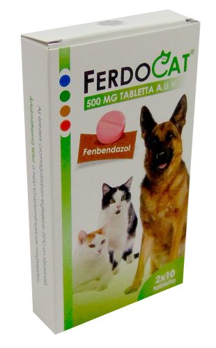 Ferdocat 500 mg tabletta  20 db