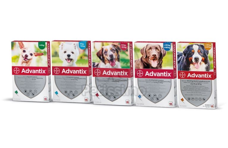 ADVANTIX SPOT-ON 2,5ML (10-25KG)  4 db