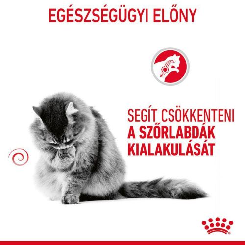 Royal Canin Hairball Care - száraz táp felnőtt macskák részére a szőrlabdák könnyebb eltávozásáért  400 g