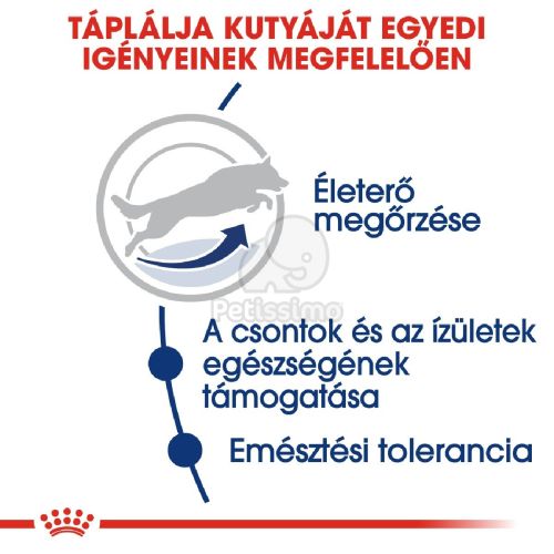 Royal Canin Maxi Adult 5+ - nagytestű idősödő kutya száraz táp 15 kg
