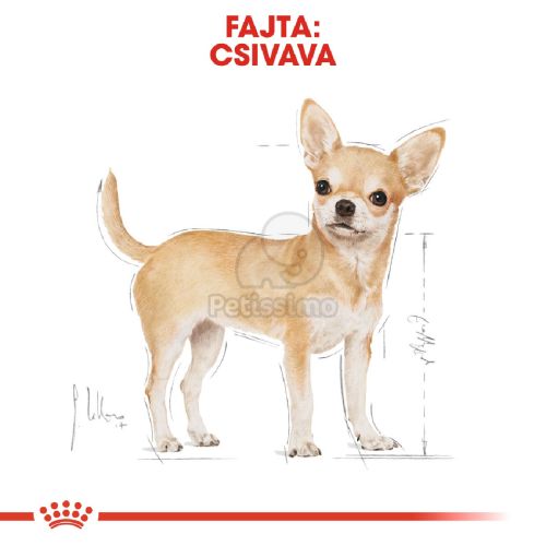Royal Canin Chihuahua Adult - Csivava felnőtt fajta kutya száraz táp  500 g