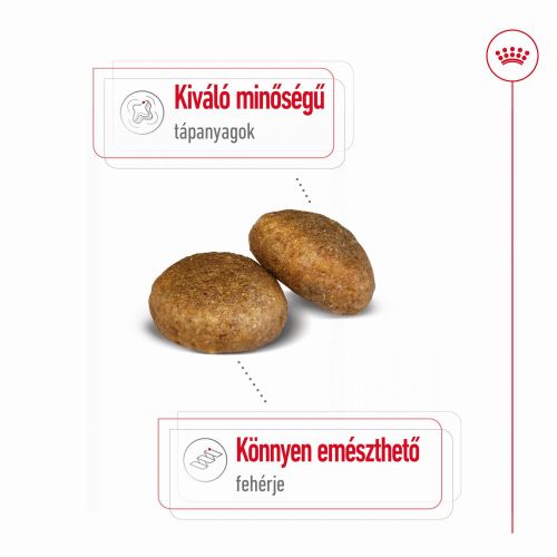 Royal Canin Maxi Adult - nagytestű felnőtt kutya száraz táp  15 kg