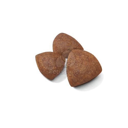 Royal Canin Medium Starter Mother & Babydog - közepes testű kölyök vemhes kutya száraz táp  4 kg