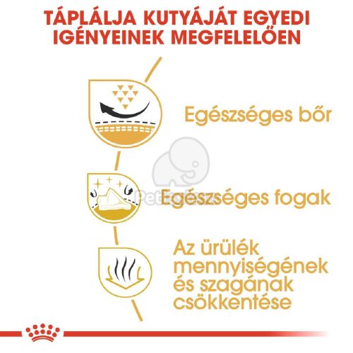 Royal Canin Shih Tzu Adult - Shih Tzu felnőtt kutya száraz táp  500 g