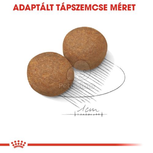 Royal Canin Maxi Adult - nagytestű felnőtt kutya száraz táp  4 kg