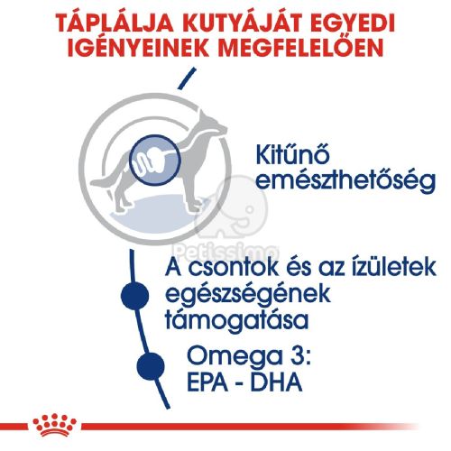 Royal Canin Maxi Adult - nagytestű felnőtt kutya száraz táp  4 kg
