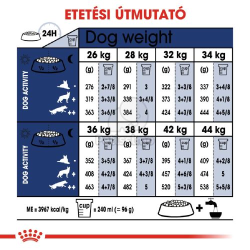 Royal Canin Maxi Adult - nagytestű felnőtt kutya száraz táp  4 kg