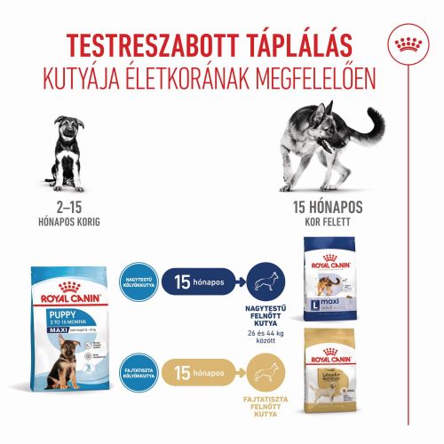 Royal Canin Maxi Puppy - nagytestű kölyök kutya száraz táp  15 kg