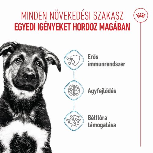 Royal Canin Maxi Puppy - nagytestű kölyök kutya száraz táp  4 kg