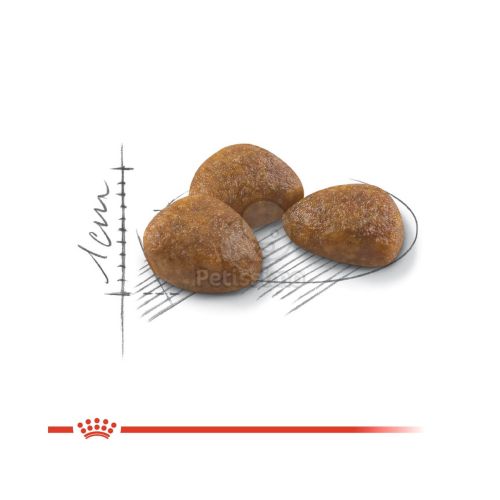 Royal Canin Outdoor 7+ - szabadba gyakran kijáró, aktív idősödő macska száraztáp  400 g