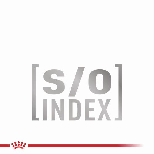 Royal Canin Small Adult Dog  4 kg