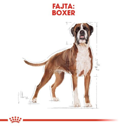 Royal Canin Boxer Adult - Boxer felnőtt kutya száraz táp  12 kg