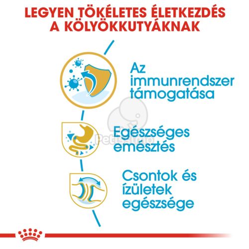 Royal Canin Bulldog Puppy - Angol Bulldog kölyök kutya száraz táp  3 kg