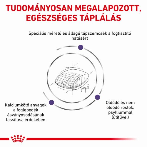 Royal Canin Feline Dental  1.5 kg