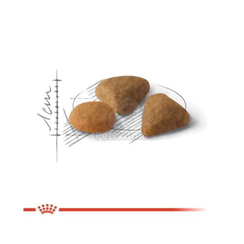 Royal Canin Savour Exigent - válogatós felnőtt macska száraz táp  2 kg