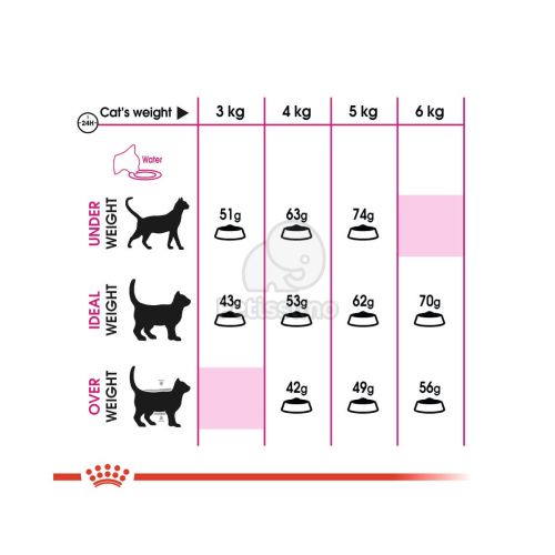 Royal Canin Savour Exigent - válogatós felnőtt macska száraz táp  2 kg