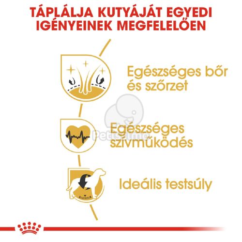 Royal Canin Golden Retriever Adult - Golden Retriever felnőtt kutya száraz táp  12 kg