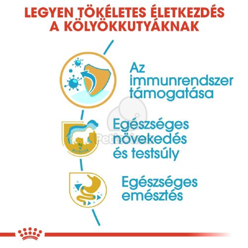 Royal Canin Labrador Retriever Puppy - Labrador Retriever kölyök kutya száraz táp  12 kg