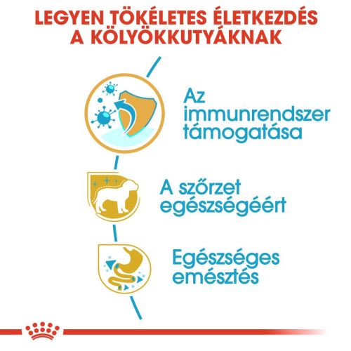 Royal Canin Yorkshire Terrier Puppy - Yorkshire Terrier kölyök kutya száraz táp  500 g