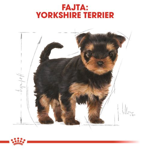 Royal Canin Yorkshire Terrier Puppy - Yorkshire Terrier kölyök kutya száraz táp  500 g