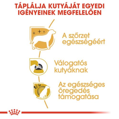 Royal Canin Yorkshire Terrier Adult - Yorkshire Terrier felnőtt kutya száraz táp  500 g