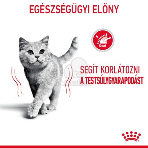 Royal Canin Light Weight Care - szószos nedves táp felnőtt macskák részére az ideális testsúly eléréséért  85 g
