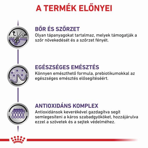 Royal Canin Medium Adult Dog  10 kg