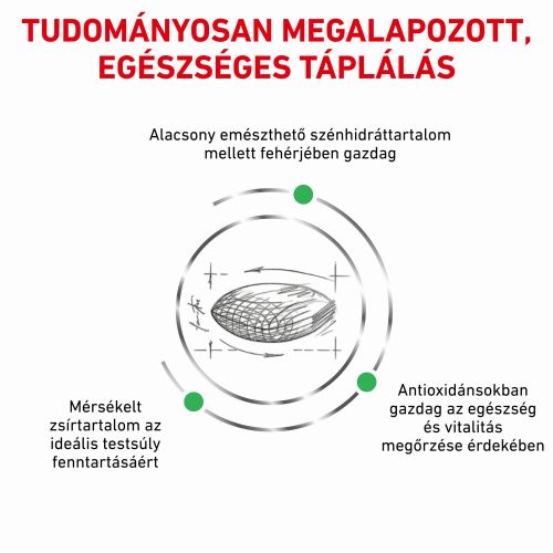 Royal Canin Feline Diabetic 46  400 g