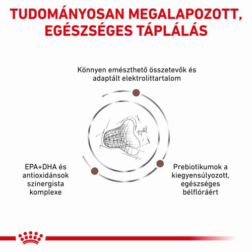 Royal Canin Feline Fibre Response Dry 31  4 kg