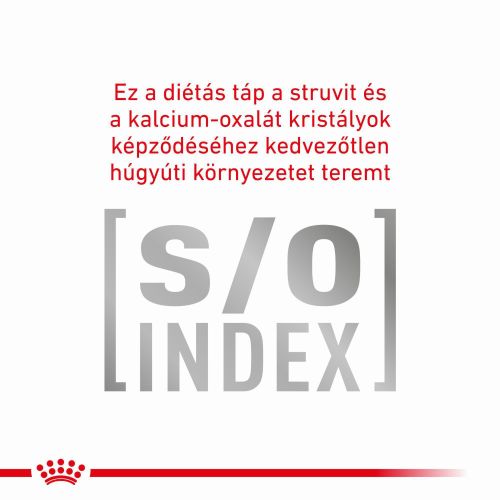 Royal Canin Feline Fibre Response Dry 31  4 kg