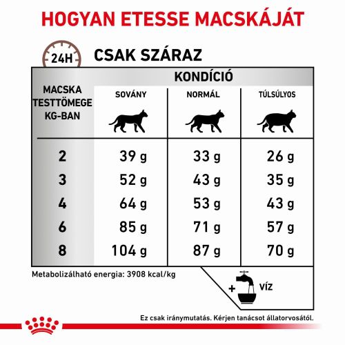 Royal Canin Feline Fibre Response Dry 31  4 kg