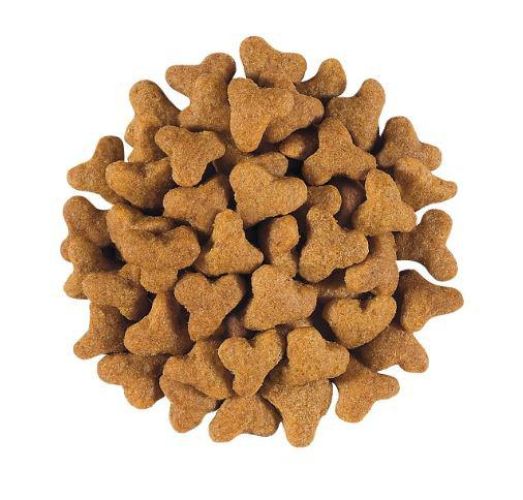 Royal Canin Feline Fibre Response Dry 31  400 g