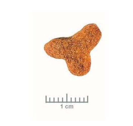 Royal Canin Feline Fibre Response Dry 31  400 g