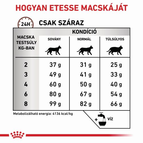 Royal Canin Feline Hepatic 26  2 kg
