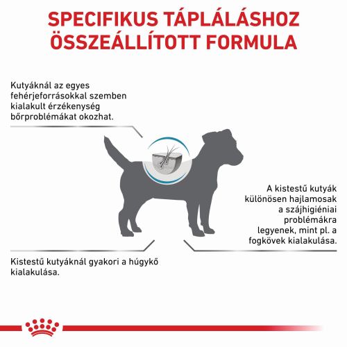 Royal Canin Hypoallergenic Small Dog 24  3.5 kg