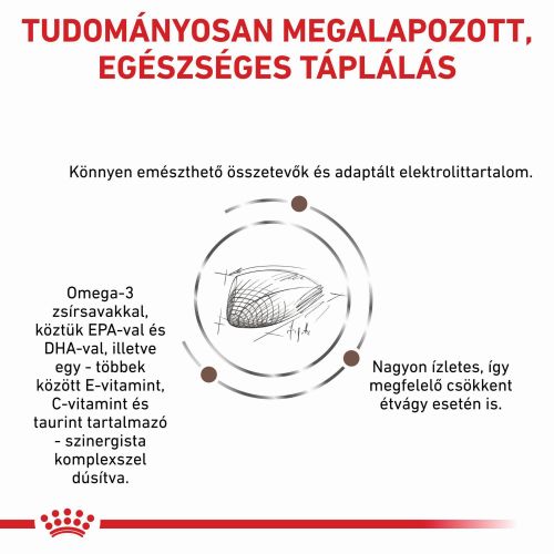 Royal Canin Feline Gastrointestinal  4 kg