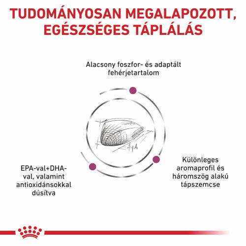 Royal Canin Feline Renal Special  2 kg