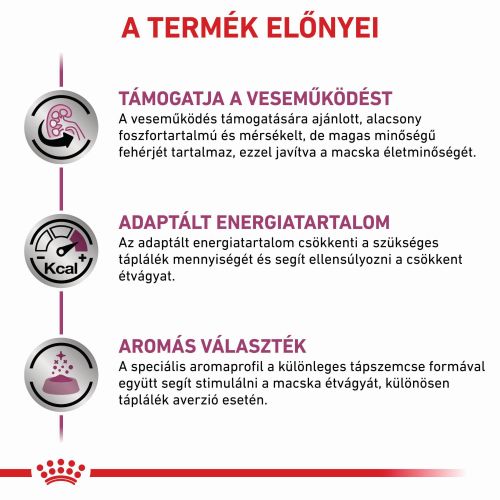 Royal Canin Feline Renal Special  2 kg