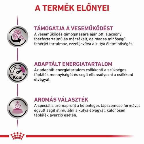 Royal Canin Renal  2 kg