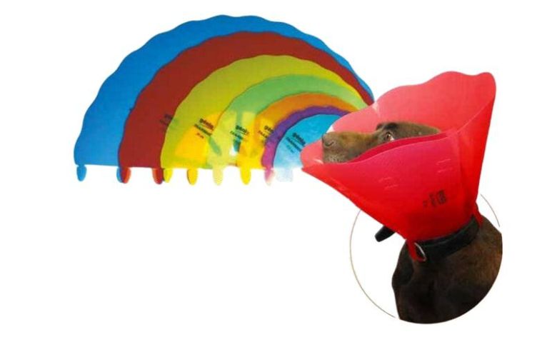 Műtéti gallér Transcol 25 cm   1 db