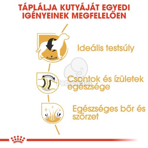 Royal Canin Labrador Adult - Labrador Retriever felnőtt kutya száraz táp  12 kg