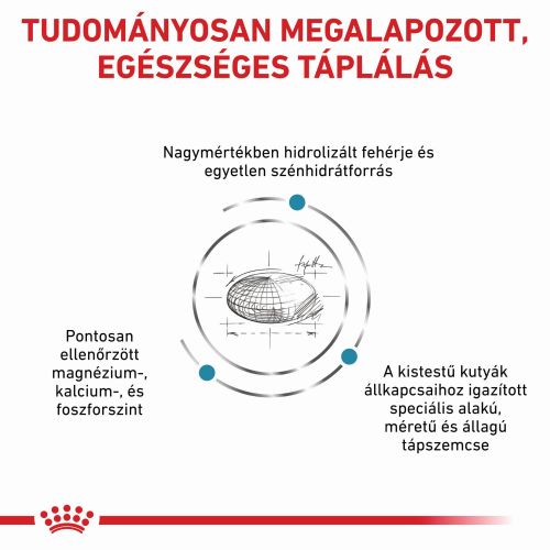 Royal Canin Hypoallergenic Small Dog 24  1 kg
