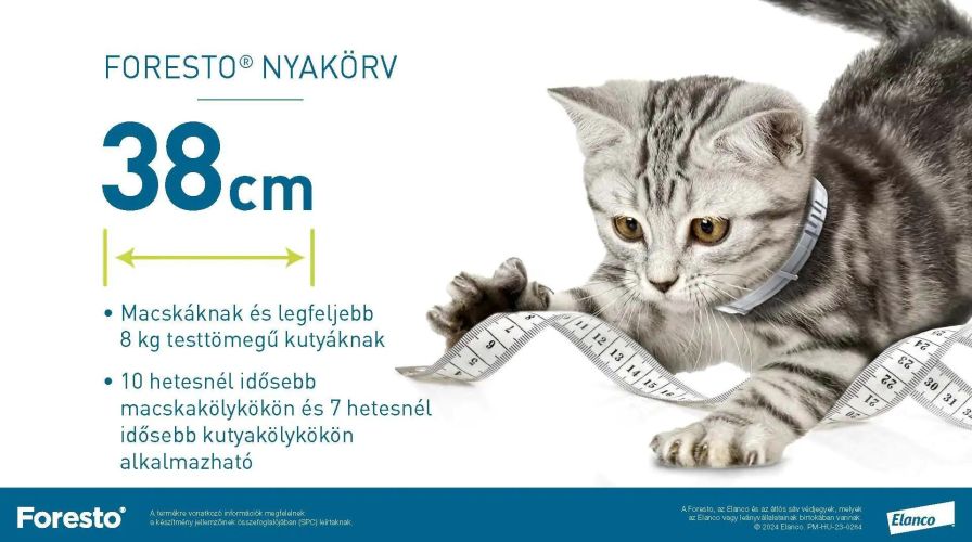 Foresto 1,25 g + 0,56 g nyakörv macskáknak és kutyáknak  1 db