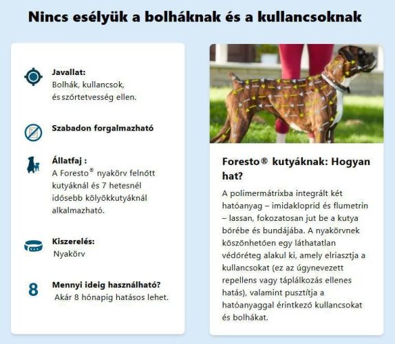 Foresto 1,25 g + 0,56 g nyakörv macskáknak és kutyáknak  1 db
