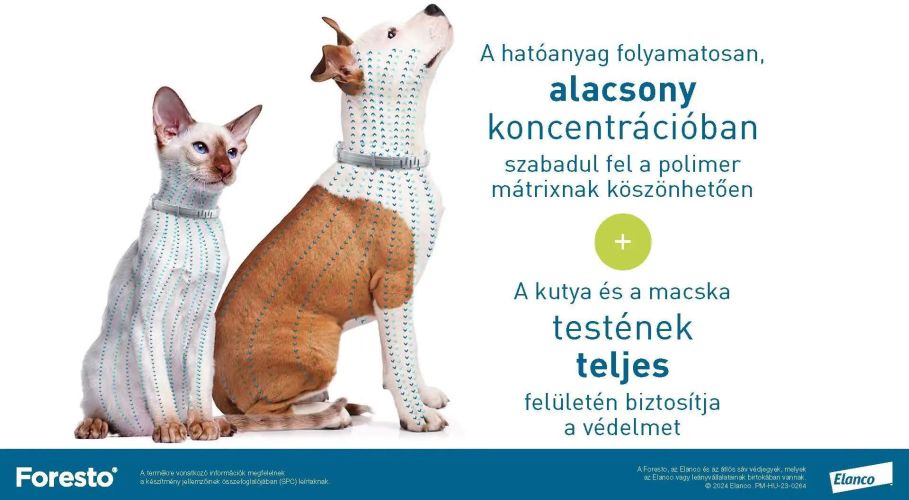 Foresto 1,25 g + 0,56 g nyakörv macskáknak és kutyáknak  1 db
