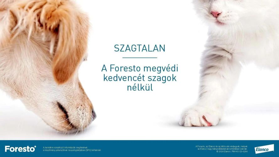 Foresto 1,25 g + 0,56 g nyakörv macskáknak és kutyáknak  1 db