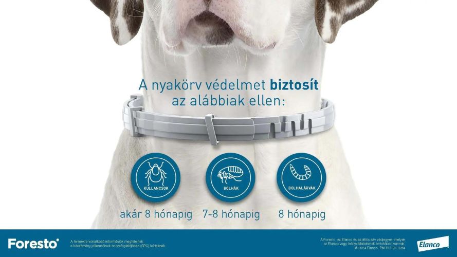 Foresto 1,25 g + 0,56 g nyakörv macskáknak és kutyáknak  1 db