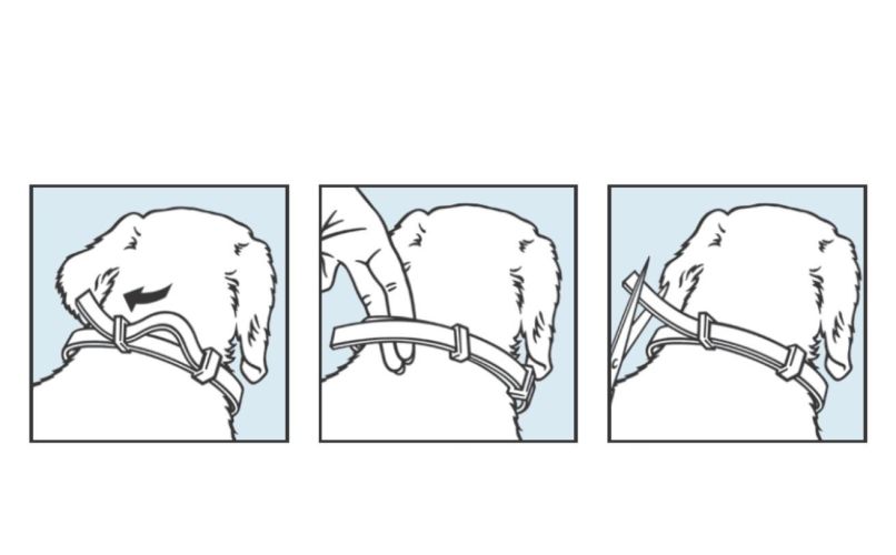 Foresto 4,50 g + 2,03 g nyakörv kutyáknak > 8 kg A.U.V.  1 db